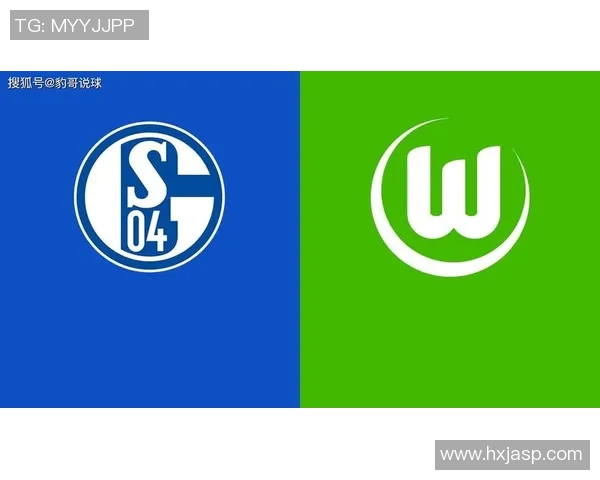 沙尔克04遭遇连败,降级危机愈发严峻 沙尔克04遭遇连败,降级危机愈发严峻